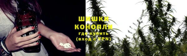 ECSTASY Киреевск