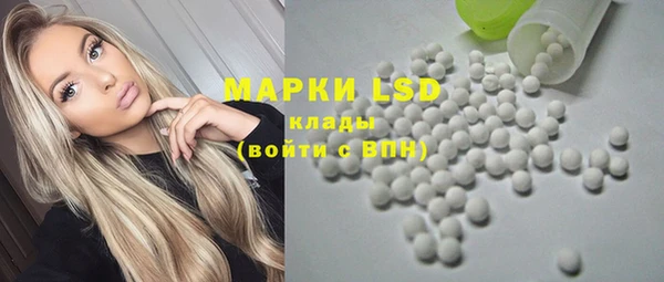 прущие грибы Кинешма
