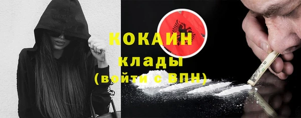 прущие грибы Кинешма