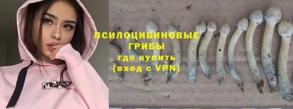 ECSTASY Киреевск