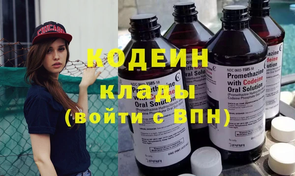 прущие грибы Кинешма