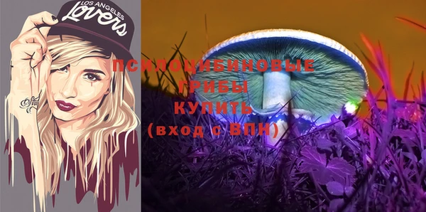 амф Козловка