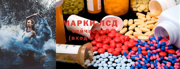 прущие грибы Кинешма