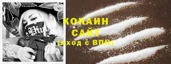 амф Козловка