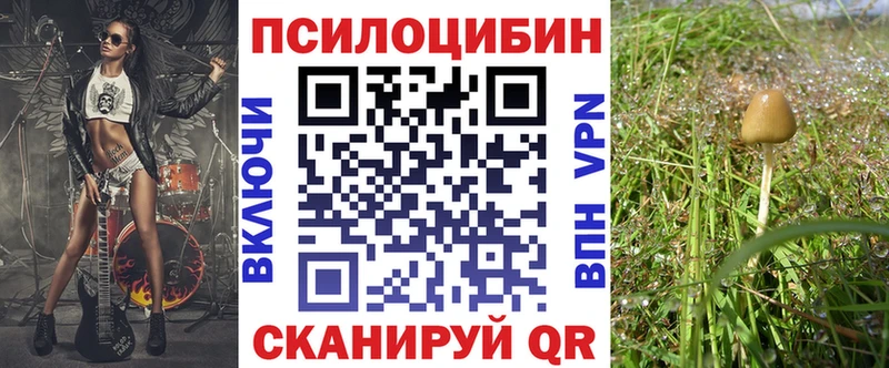 Галлюциногенные грибы прущие грибы  Красноперекопск 